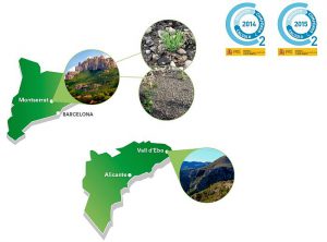 Eurofred MAPAMA RSC reforestación departamento de Operaciones y Calidad de Eurofred emisiones de CO2 huella de carbono sello Calculo y Compenso