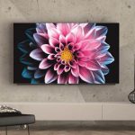 grundig smart oled tv, alexa, asistente de voz, televisores por voz, inteligencia artificial, oled tv