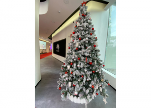 Espacio Huawei Navidad Cooperación Internacional