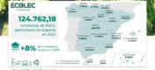 balance ecolec general 2021