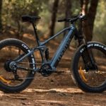 bicis eléctricas