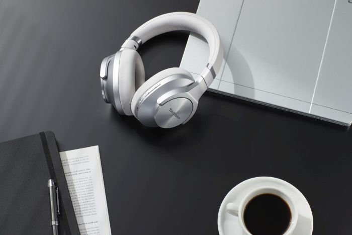 Auriculares EAH-A800 Technics (14)