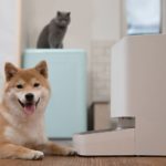 Xiaomi Smart Pet Food Feeder_perro y gato