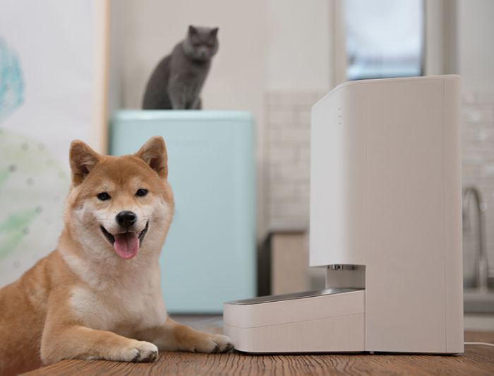 Xiaomi Smart Pet Food Feeder_perro y gato