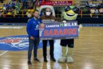 Caslesa milar
