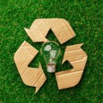 Eco energy saving light bulbs on grass background