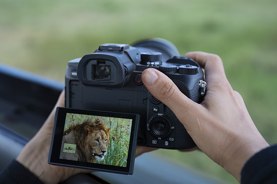 Sony RX10 V, la nueva cámara "todo en uno" para fotografía de naturaleza, viajes y deporte